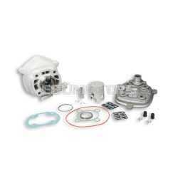 Malossi ALUMIN-CYL. KIT 50 cc. pin 10 H2O MHR