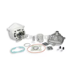Malossi ALUMIN-CYL. KIT 50 cc. pin 10 H2O MHR
