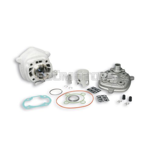 Malossi ALUMIN-CYL. KIT 50 cc. pin 10 H2O MHR