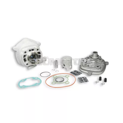 Malossi ALUMIN-CYL. KIT 50 cc. pin 10 H2O MHR