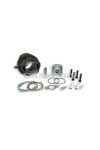 Malossi CAST-I-CYLINDER 55 VESPA 50