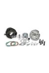 Malossi CAST-I-CYLINDER KIT 55 VESPA 50