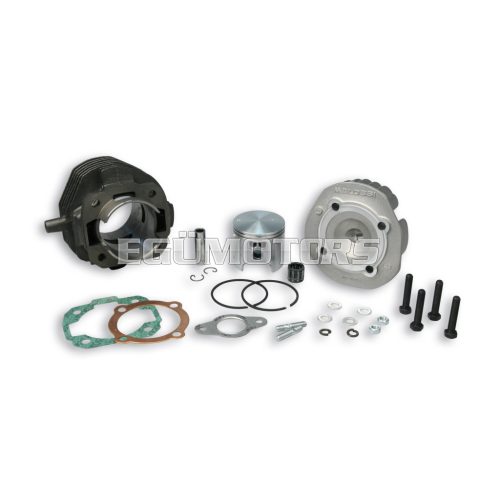 Malossi CAST-I-CYLINDER KIT 55 VESPA 50