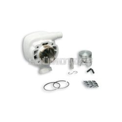 Malossi ALUMIN-CYLINDER 47 H2O MHR REP.