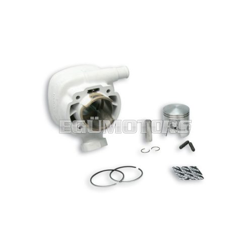 Malossi ALUMIN-CYLINDER 47 H2O MHR REP.