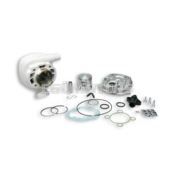 Malossi ALUMIN-CYL. KIT 47 pin 12 H2O MHR REP