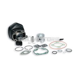 Malossi CAST-I-CYLINDER 47 H2O
