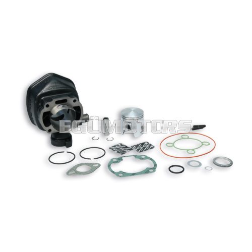 Malossi CAST-I-CYLINDER 47 H2O