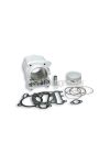 Malossi ALUMIN-CYLINDER 74 H2O SCOOTER 250-300 4-stroke