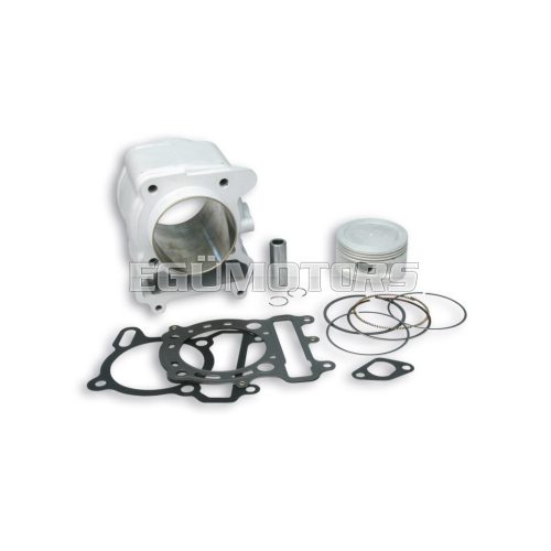 Malossi ALUMIN-CYLINDER 74 H2O SCOOTER 250-300 4-stroke
