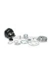 Malossi CAST-I-CYLINDER KIT 47 pin 10 H2O