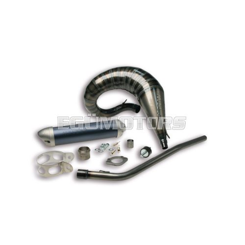 Malossi EXHAUST SYSTEM SUPERMOTO MHR