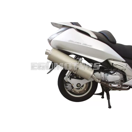 MAXI WILD LION exhaust system
