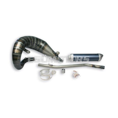 Malossi EXHAUST SYSTEM SUPERMOTO MHR