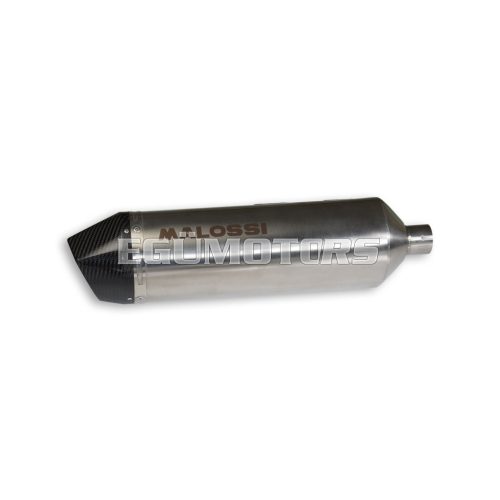 Malossi HOMOLOGATED NAKED SILENCER - RX