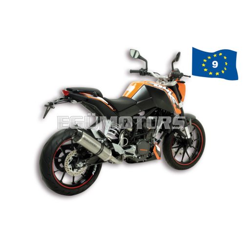 Malossi EXHAUST SYSTEM GP MHR REPLICA 4-Stroke homologated