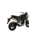 Malossi EXHAUST S. GP MHR REPLICA 4-Stroke homologated - with catalyser