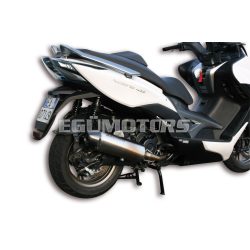 Malossi EXHAUST S. RX