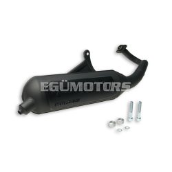 Malossi EXHAUST SYS. WILD LION homologated