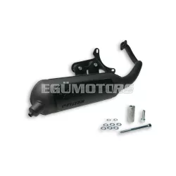 Malossi EXHAUST SYS. WILD LION homologated