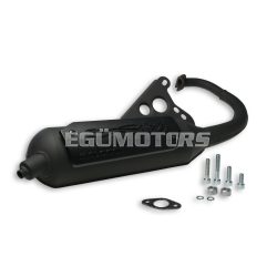Malossi EXHAUST SYS. WILD LION homologated