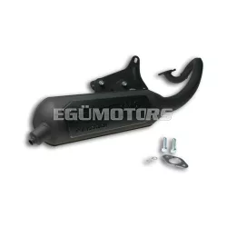 Malossi EXHAUST SYS. WILD LION homologated