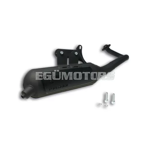 Malossi EXHAUST SYS. WILD LION homologated