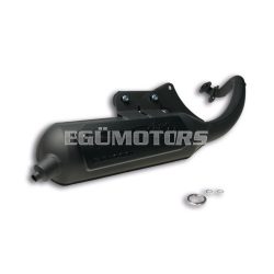 Malossi EXHAUST SYS. WILD LION homologated