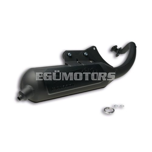 Malossi EXHAUST SYS. WILD LION homologated