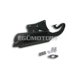 Malossi EXHAUST SYS. WILD LION homologated
