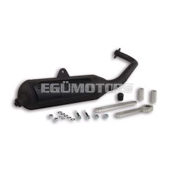 Malossi EXHAUST SYS. WILD LION homologated