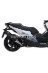 Malossi MAXI WILD LION homologated SILENCER for ORIGINAL / Malossi MANIF.