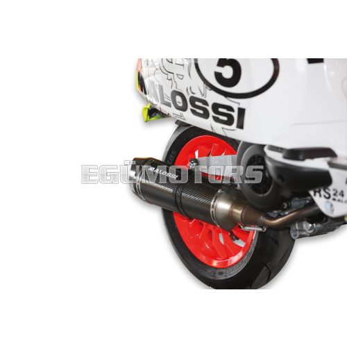 Malossi EXHAUST SYSTEM RX MHR