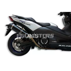 Malossi EXHAUST SYSTEM MAXI WILD LION homologated