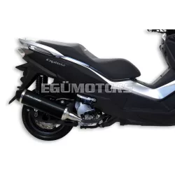 Malossi EXHAUST S. RX Black