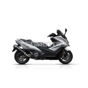 Malossi MAXI WILD LION SILENCER for ORIGINAL MANIF.