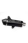 Malossi NAKED EXHAUST SYS. - RX Black