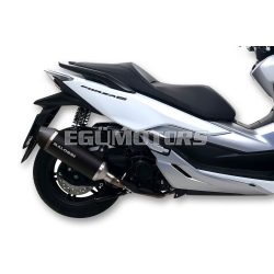 Malossi EXHAUST S. RX Black