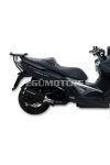 Malossi EXHAUST SYSTEM MAXI WILD LION