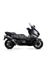 Malossi EXHAUST SYSTEM MAXI WILD LION