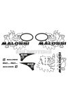 Malossi KIT of stickers TROPHY VESPA