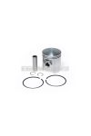 Malossi PISTON 55 pin 14 semi. rings 2 C