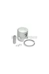 Malossi PISTON 47 pin 10 rect. ring  1 0