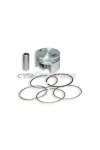 Malossi PISTON 53 pin 13 rect./oil rings 3 C