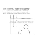 Malossi PISTON 52 pin 13 rect. ring  1 0