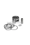 Malossi PISTON 49 pin 13 rect./oil rings 3 D