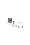 2T Ø 43 piston size 0 with pin Ø 12 and 2 rectangular rings size A
