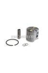 Malossi PISTON 50 pin 12 rect. ring  1 C