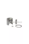 Malossi PISTON 45,5 pin 10 rect. ring  1 H
