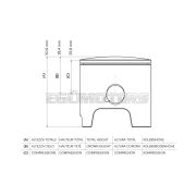 Malossi PISTON 47 pin 12 rect. rings 2 0